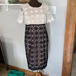 A Pea in the Pod lace maternity dress size small black and white colorblock